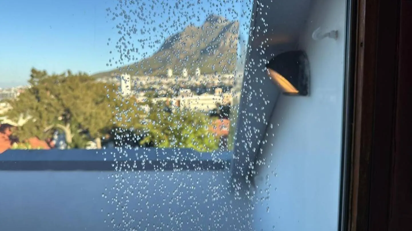 Apartment Ferienwohnung Loft On Kloof Nek Kapstadt